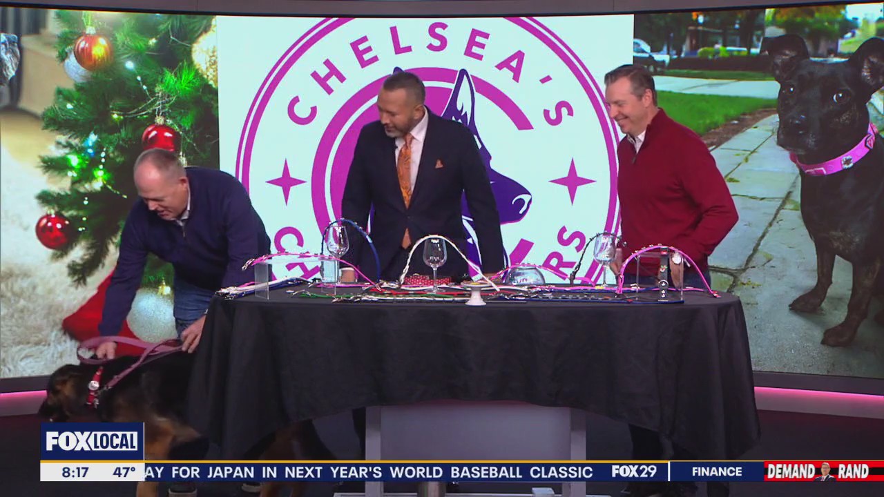 Custom Dog Collars for Your Favorite Furry Friend