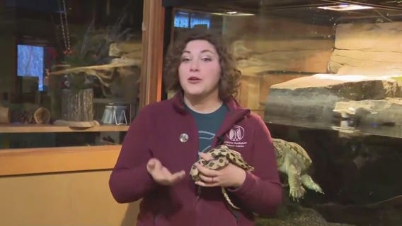 Schlitz Audobon Nature Center animal education