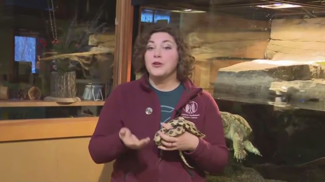 Schlitz Audobon Nature Center animal education
