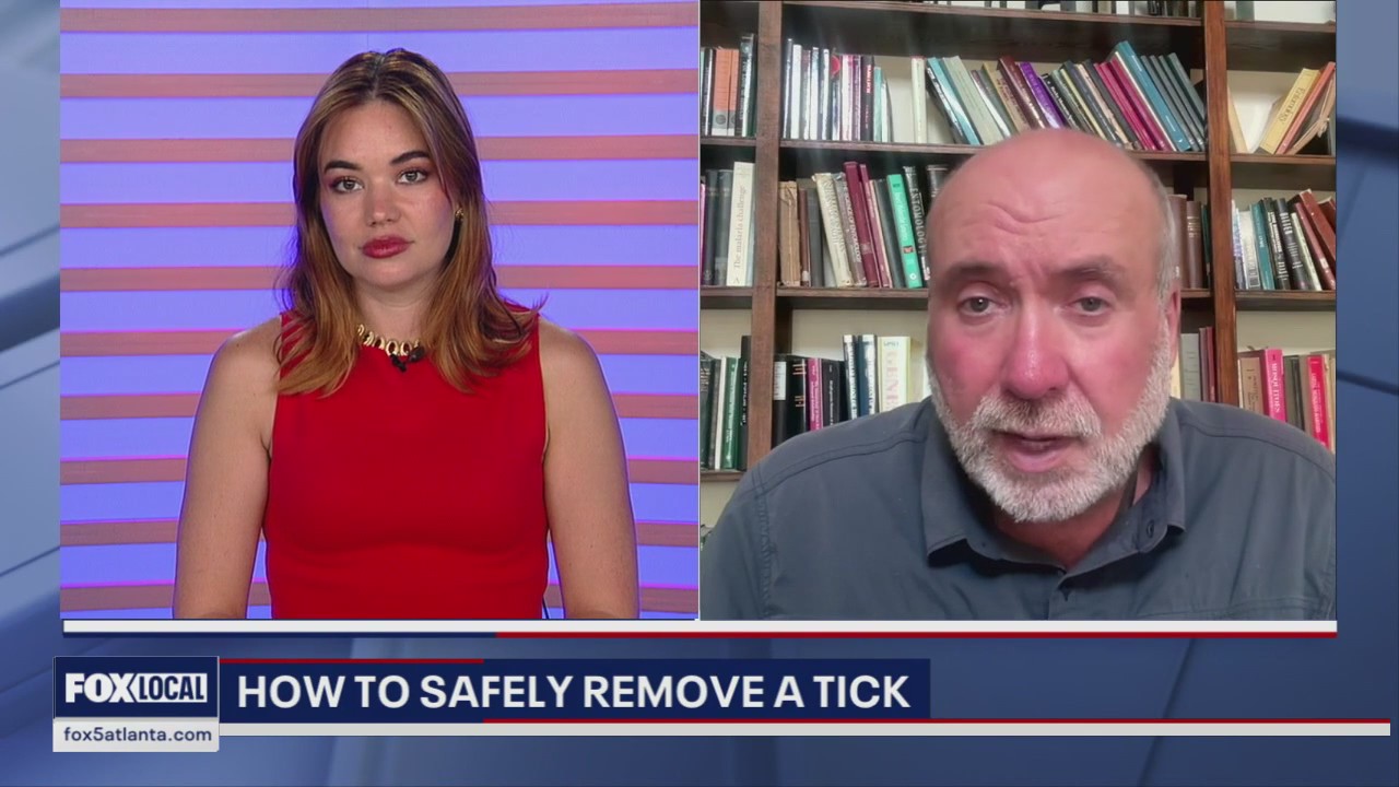 Fox File Tick What to do if a tick bites you | FOX 5 Atlanta