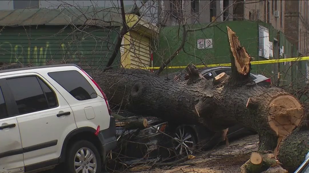 Storm damage in New York