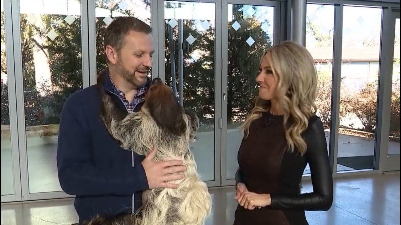 Inside Brookfield Zoo: sloths, servals and more