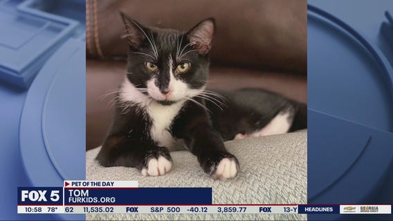 Pets of the Day from Furkids