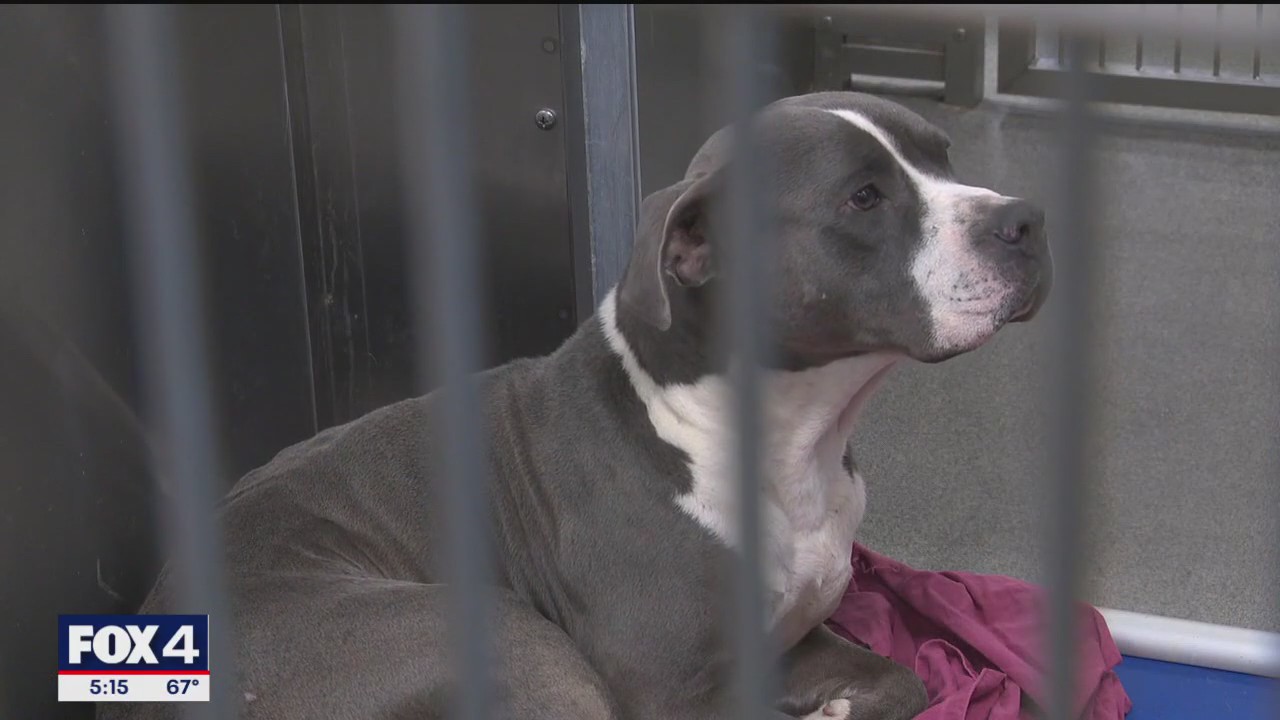 Dallas shelter at 140% capacity, extends hours Saturday