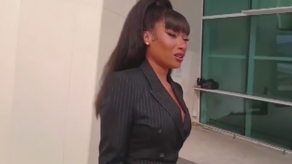 Megan Thee Stallion wins defamation case