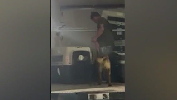 2 suspects face charges in Indiana dog deaths