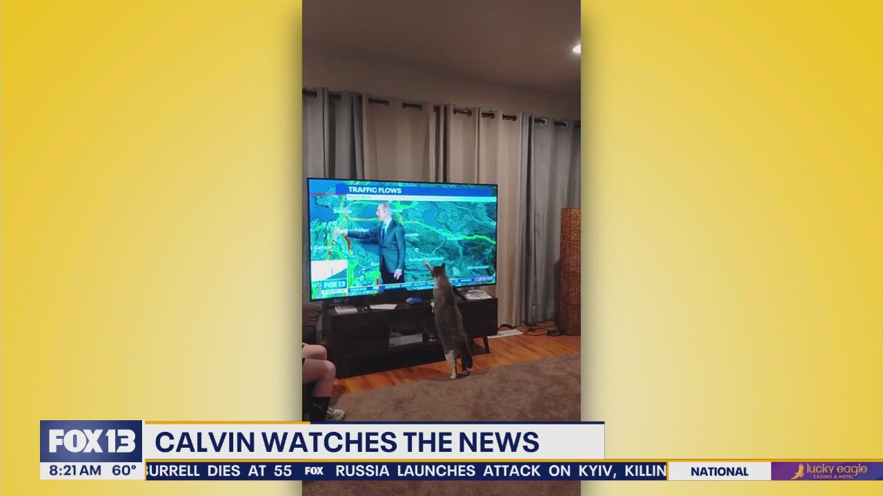 Pet Tricks for Wednesday, June 18