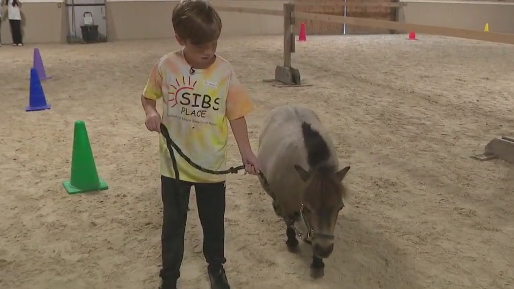 Horse therapy helping kids deal with trauma