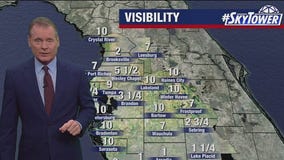 Tampa Weather | Warm & dry until Thanksgiving
