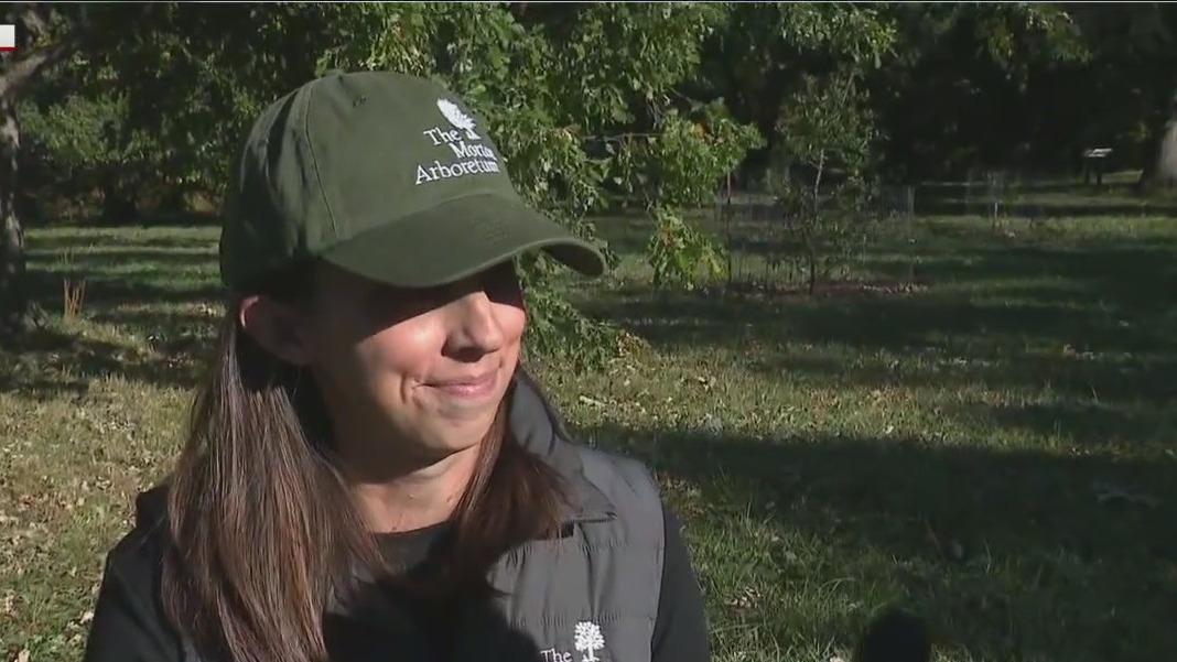 The Morton Arboretum expands conservation efforts