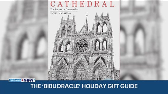 ‘Biblioracle’ shares holiday gift ideas for book lovers |  ChicagoNOW