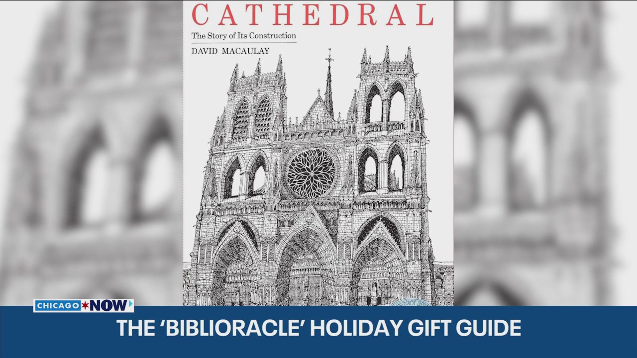 ‘Biblioracle’ shares holiday gift ideas for book lovers | ChicagoNOW