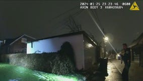 Fireworks mistaken as gunshots during officer-involved shooting: COPA