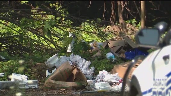 Search is on for missing Detroit teenager