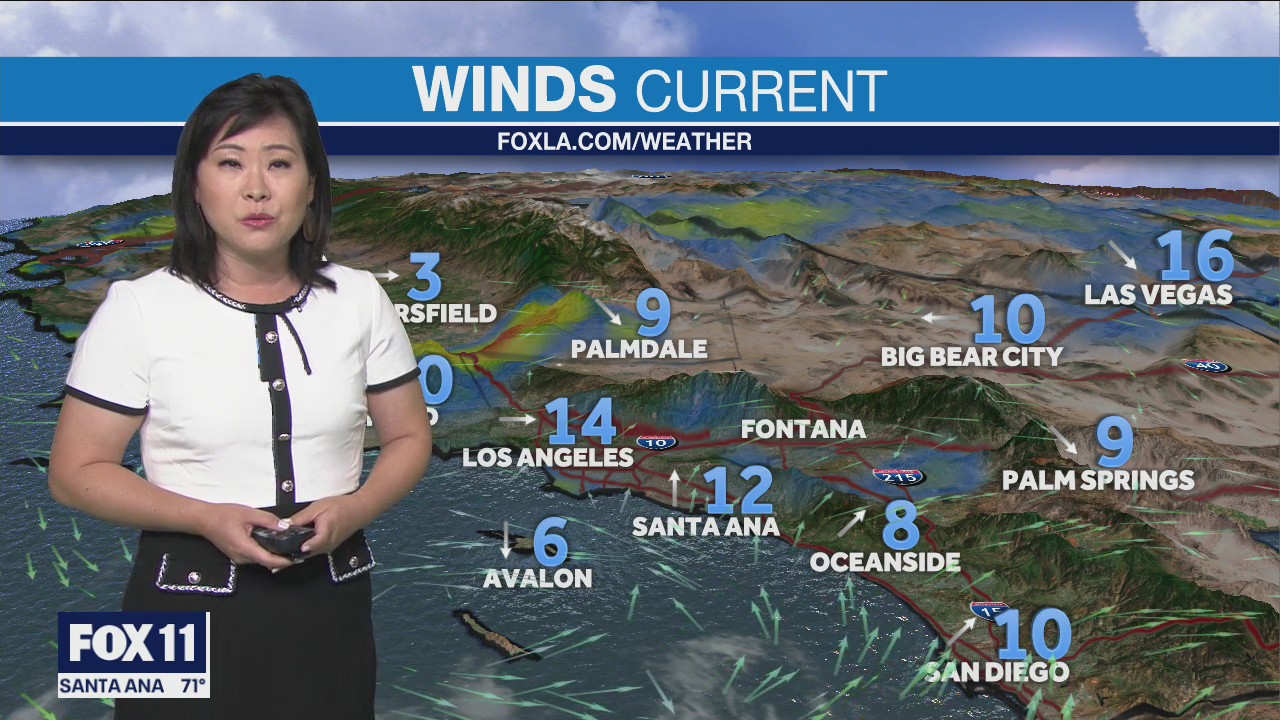 Weather Forecast: Saturday, May 8