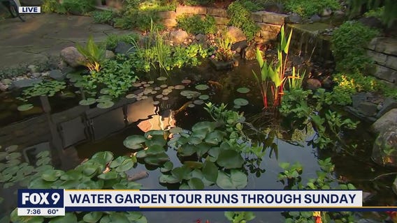 Minnesota water garden tour runs through Sunday