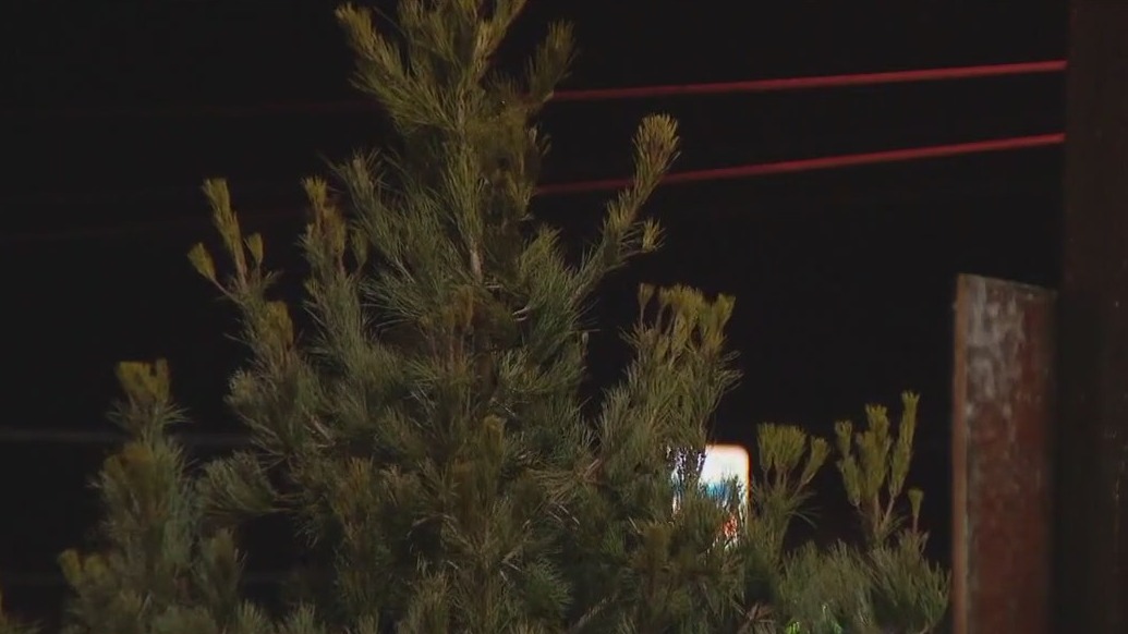 Grapevine shutdown a possibility amid severe weather