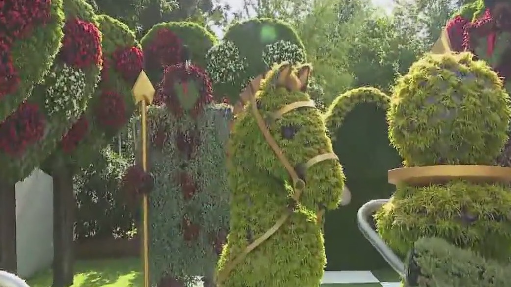 Atlanta Botanical Garden becomes Wonderland