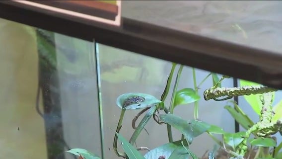 Sneak peek of the plants