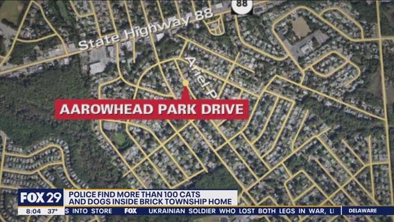 Community comes together after car smashes through beloved family deli in Delaware County