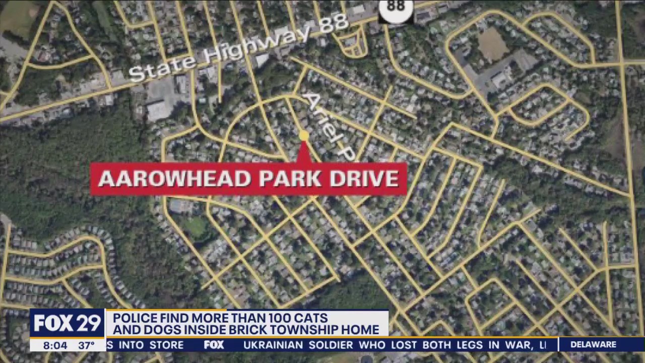 Community comes together after car smashes through beloved family deli in Delaware County