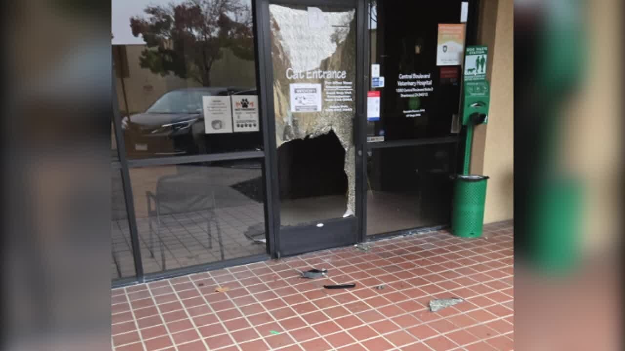 Stolen pet ashes in Brentwood