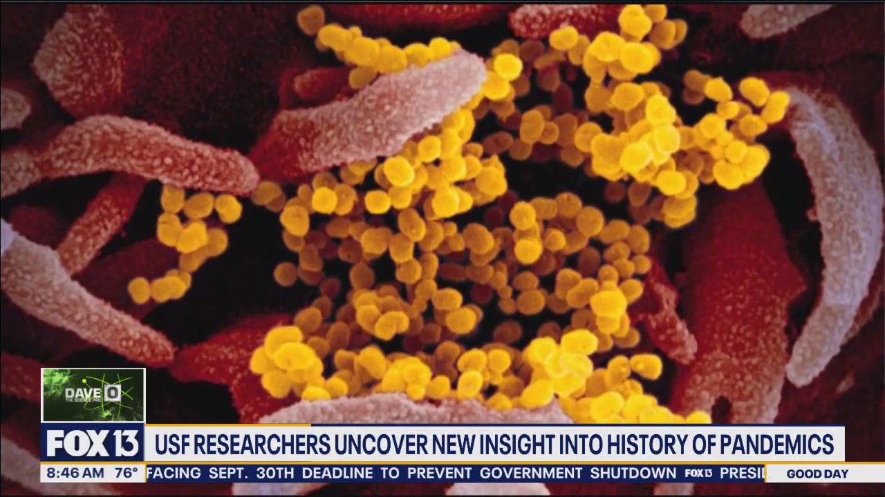 USF researchers uncover insight into pandemics