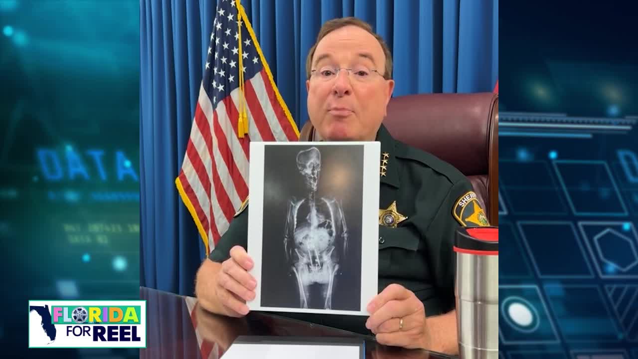 Grady Judd: The stories behind his most viral moments