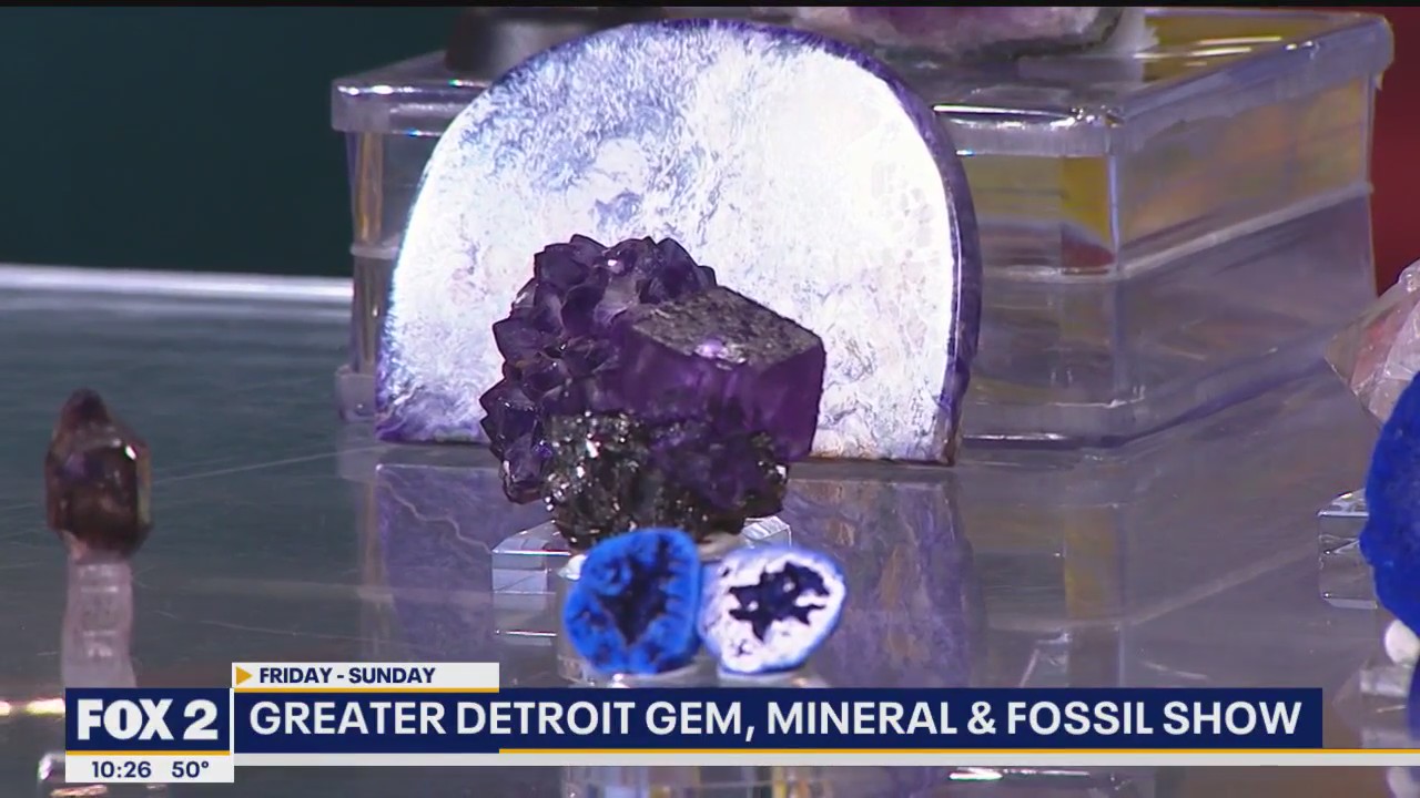 Greater Detroit Gem. Mineral and Fossil Show
