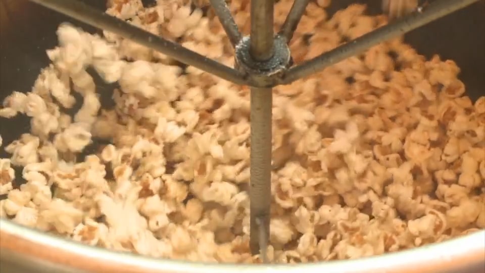 Summer Fair held in Cedarburg