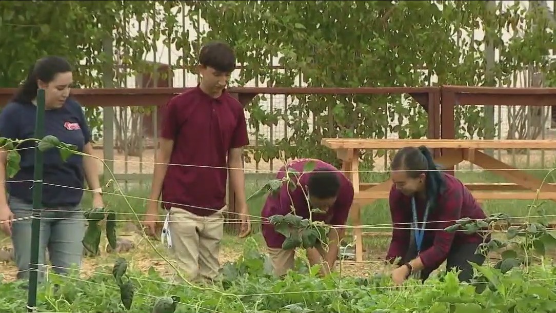 AZ students learning about sustainability