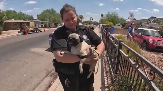 Ride-along with field officers helping animals in the heat