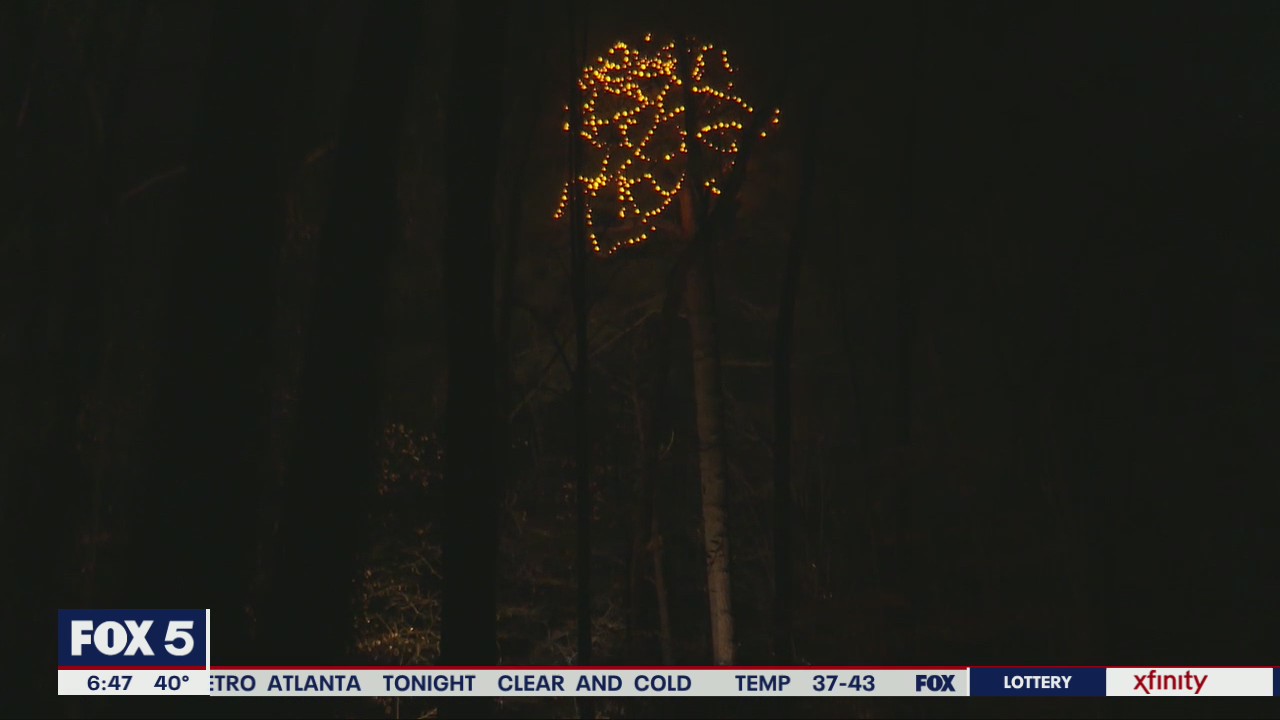 Historic Atlanta tree transformed into COVID memorial | FOX 5 Atlanta