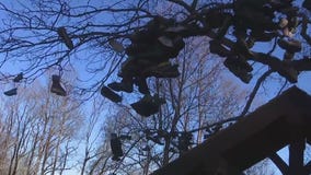 Exploring Georgia's unique Mountain Crossings