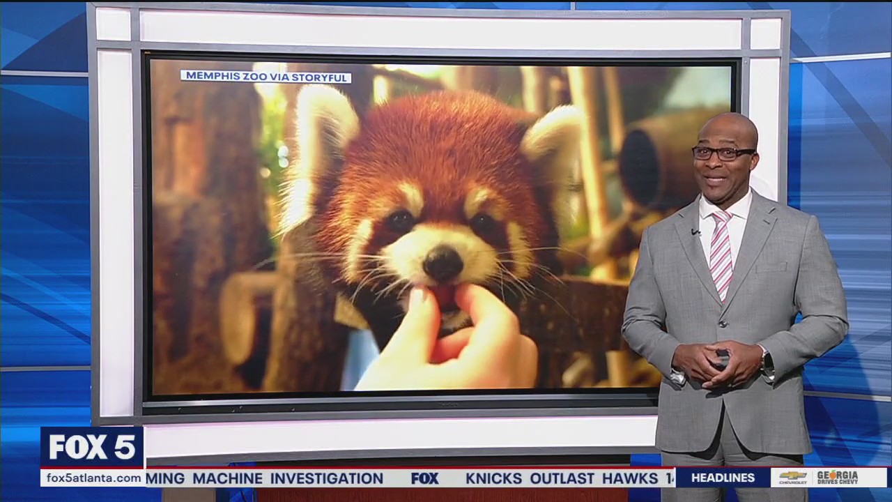 Send a stinky greeting for Valentine's Day