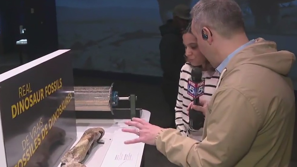 Spring Break Adventures: Fernbank Museum