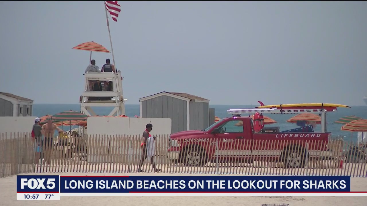 Long Island beaches on the lookout for sharks