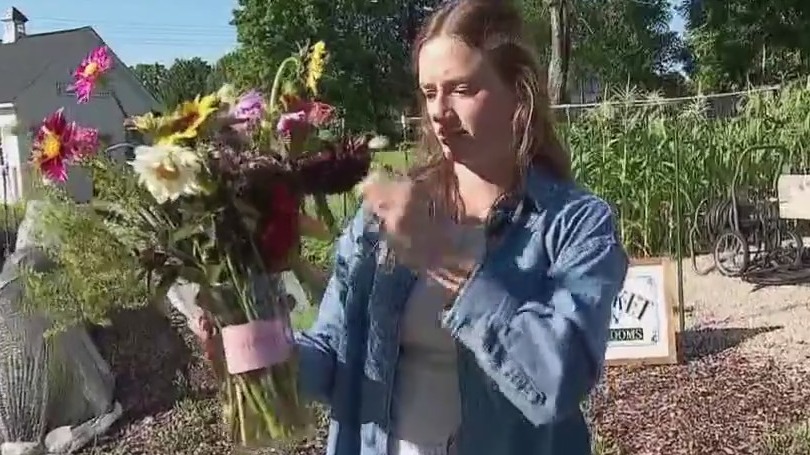 Cal and Lily Flower Farm in Buffalo