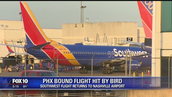 Southwest Airlines flight forced to land after bird strike day after plane engine explodes