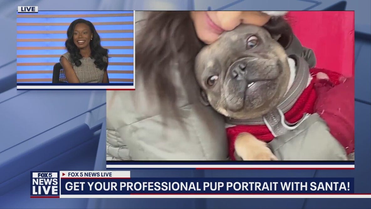 Santa "Paws" offers professional portraits for pups