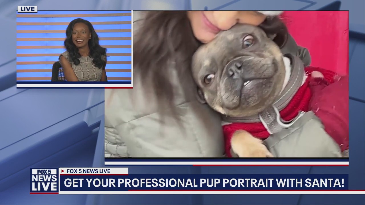 Santa "Paws" offers professional portraits for pups