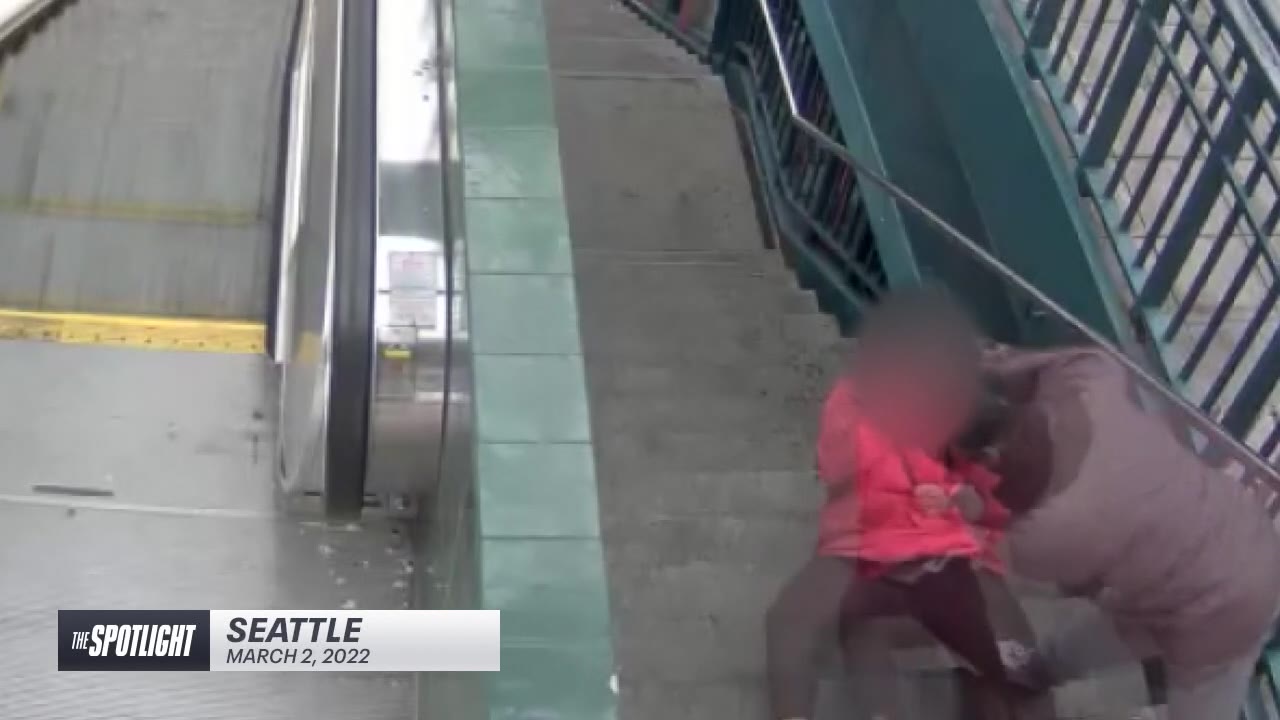 The Spotlight: Repeat Offenders