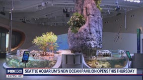 Seattle Aquarium's new Ocean Pavilion opens Thursday