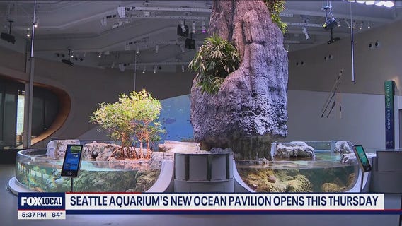 Seattle Aquarium's new Ocean Pavilion opens Thursday