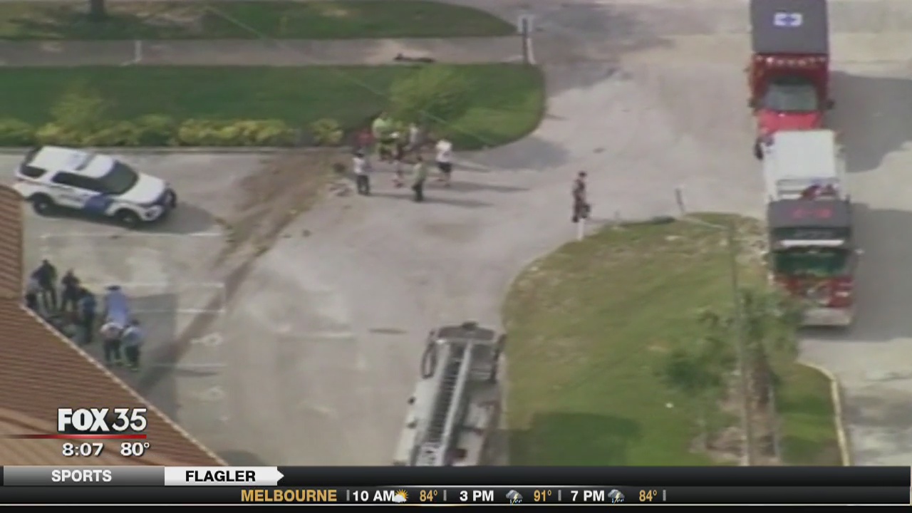 Carjacking ends in crash | FOX 35 Orlando