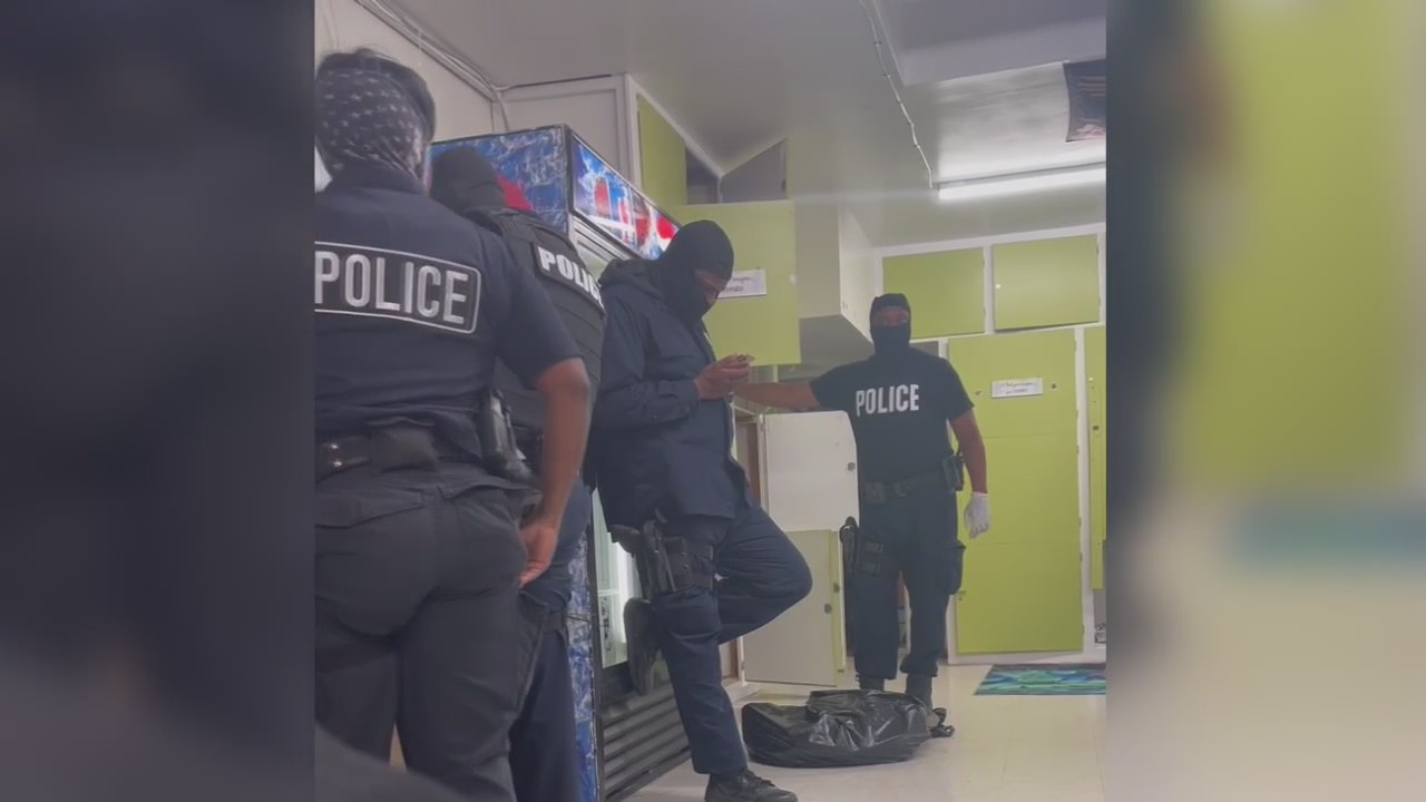 Psychedelic church in Detroit raided by police for use of mushrooms