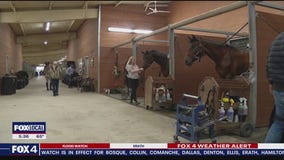 NTX horse events stalled due to deadly virus outbreak