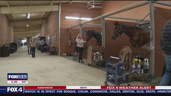 NTX horse events stalled due to deadly virus outbreak