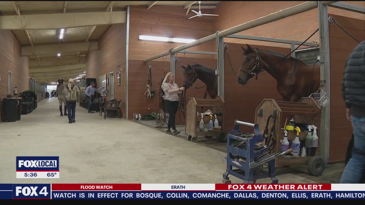 NTX horse events stalled due to deadly virus outbreak