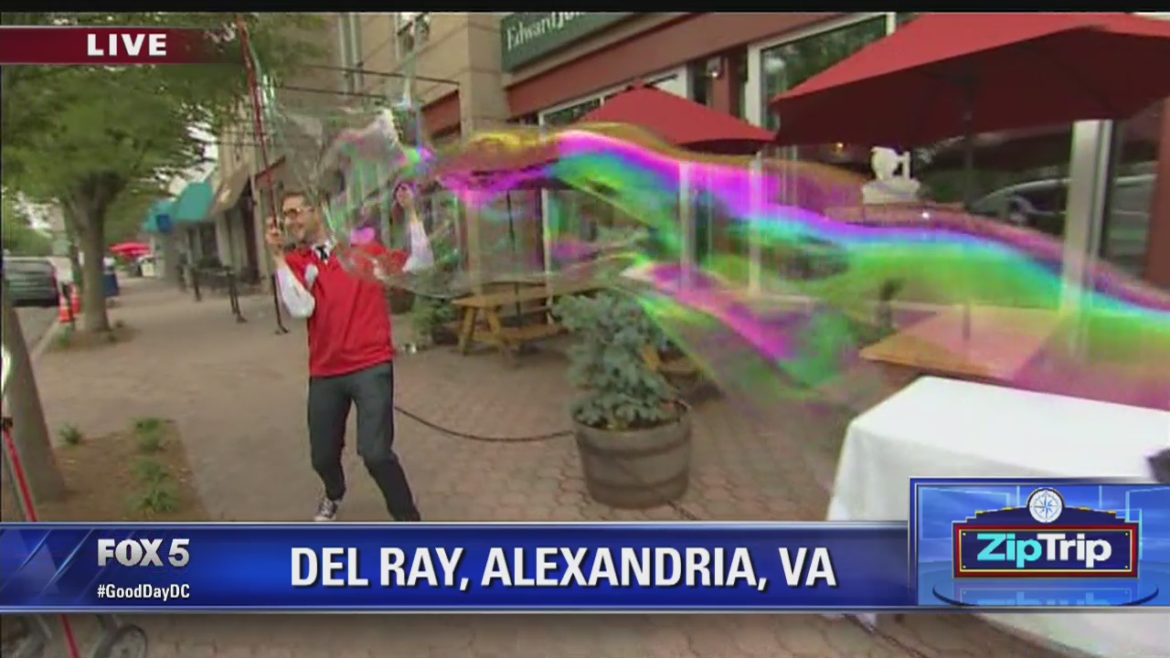 Zip Trip: Del Ray | DIY Del Ray